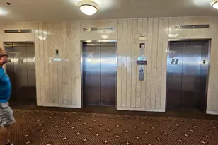 3709 George Mason Dr S, Falls Church, VA 22041 - Photo 5