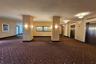 3709 George Mason Dr S, Falls Church, VA 22041 - Photo 11