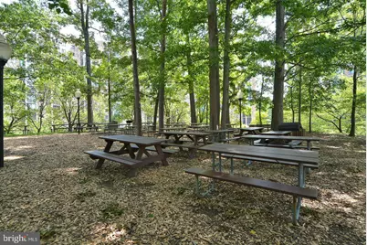 5902 Mount Eagle Drive #709, Alexandria, VA 22303 - Photo 39