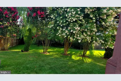 14408 Tracy Schar Lane, Centreville, VA 20121 - Photo 41