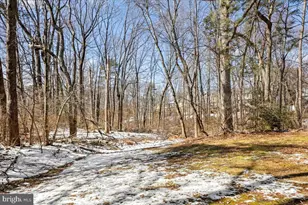 1642 Harvest Green Ct, Reston, VA 20194 - Photo 43