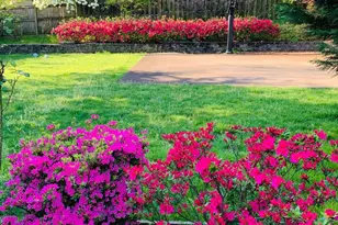 6703 Hallwood Ave, Falls Church, VA 22046 - Photo 39