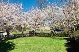 6703 Hallwood Ave, Falls Church, VA 22046 - Photo 37