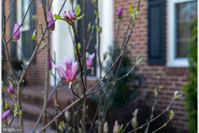 3006 Franklin Corner, Oak Hill, VA 20171 - Photo 9