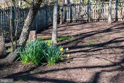 3006 Franklin Corner, Oak Hill, VA 20171 - Photo 61