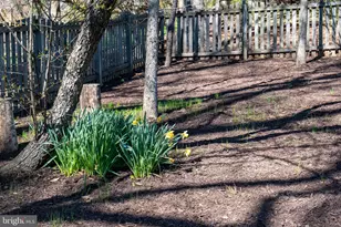 3006 Franklin Corner, Oak Hill, VA 20171 - Photo 55