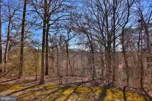 5837 Norham Dr, Alexandria, VA 22315 - Photo 19