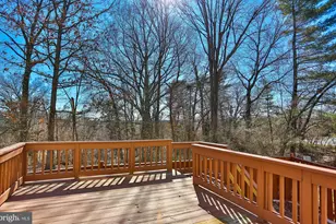 5837 Norham Dr, Alexandria, VA 22315 - Photo 17