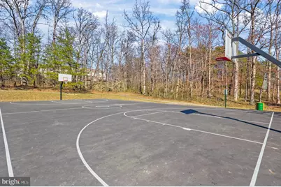 8717 Flowering Dogwood Lane, Lorton, VA 22079 - Photo 65