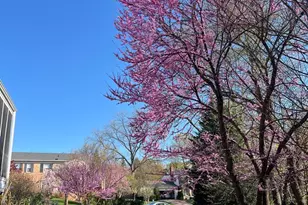 601 Sideling Ct NE, Vienna, VA 22180 - Photo 63