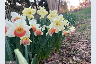 601 Sideling Court NE, Vienna, VA 22180 - Photo 65