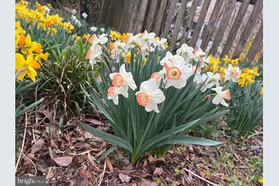 601 Sideling Court NE, Vienna, VA 22180 - Photo 67