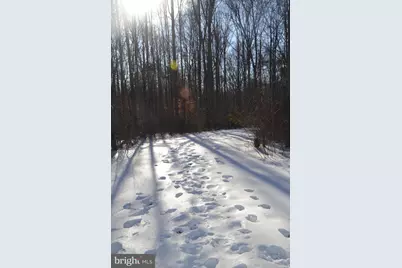 6015 Ticonderoga Court, Burke, VA 22015 - Photo 107