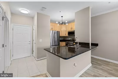 3830 Lightfoot Street #223, Chantilly, VA 20151 - Photo 11