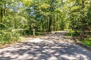 3733 Roxbury Ln, Alexandria, VA 22309 - Photo 45