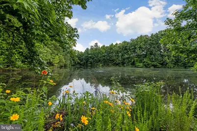 6618 Hunter Creek Lane, Alexandria, VA 22315 - Photo 75