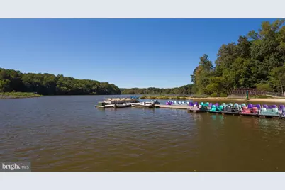 7402 Inzer Street, Springfield, VA 22151 - Photo 39