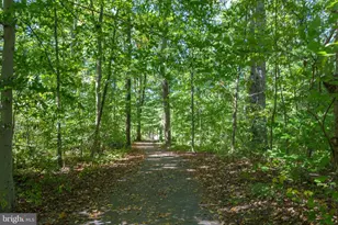 7402 Inzer St, Springfield, VA 22151 - Photo 37