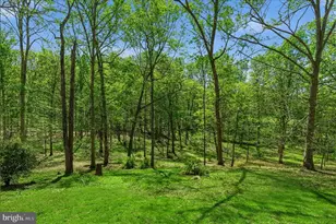 5605 Smoke Rise Ln, Fairfax Station, VA 22039 - Photo 51