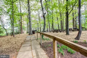 5903 Mt Eagle Dr, Alexandria, VA 22303 - Photo 77