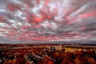 5903 Mt Eagle Dr, Alexandria, VA 22303 - Photo 17