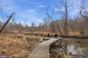 2408 William and Mary Dr, Alexandria, VA 22308 - Photo 21