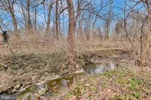 5300 Easton Dr, Springfield, VA 22151 - Photo 57