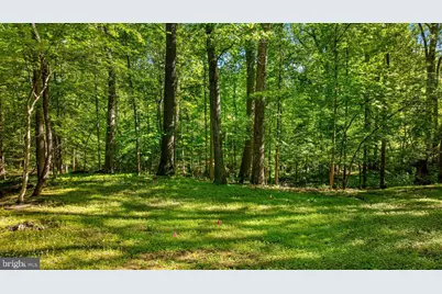 7818 Georgetown Pike, McLean, VA 22102 - Photo 11