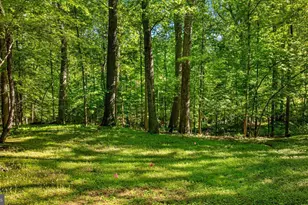 7818 Georgetown Pike, McLean, VA 22102 - Photo 11