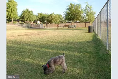 6479 Patuxent Vista Drive, Alexandria, VA 22312 - Photo 9