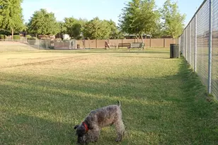 6479 Patuxent Vista Dr, Alexandria, VA 22312 - Photo 57