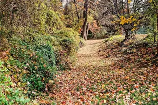 7640 Tremayne, McLean, VA 22102 - Photo 25