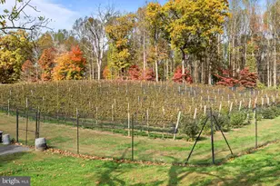 13025 Yates Ford Rd, Clifton, VA 20124 - Photo 71