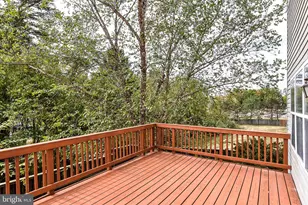 6237 Frosty Winter Ct, Centreville, VA 20120 - Photo 35