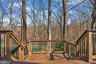 10223 Cedar Pond Dr, Vienna, VA 22182 - Photo 41