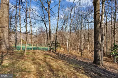 10223 Cedar Pond Drive, Vienna, VA 22182 - Photo 37