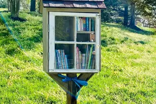 10223 Cedar Pond Dr, Vienna, VA 22182 - Photo 51