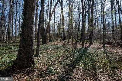 3812 Tall Oak Court, Annandale, VA 22003 - Photo 69