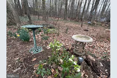 3812 Tall Oak Court, Annandale, VA 22003 - Photo 51