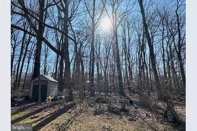 3812 Tall Oak Court, Annandale, VA 22003 - Photo 15