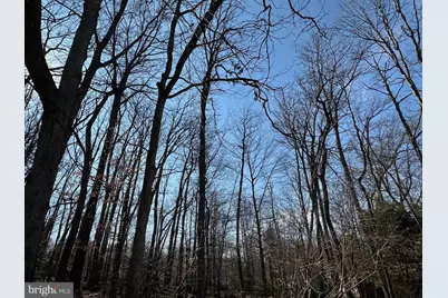 3812 Tall Oak Court, Annandale, VA 22003 - Photo 17