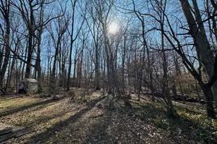 3812 Tall Oak Ct, Annandale, VA 22003 - Photo 43