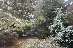 1528 Pathfinder Ln, McLean, VA 22101 - Photo 5