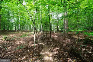 11901 Chapel Rd, Clifton, VA 20124 - Photo 85