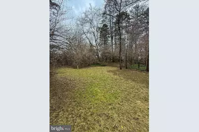 902 Echols Street SE, Vienna, VA 22180 - Photo 3