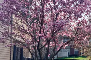 1702 Ascot Way, Reston, VA 20190 - Photo 35