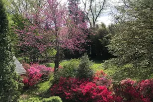 6429 Divine St, McLean, VA 22101 - Photo 3