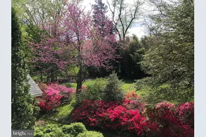 6429 Divine Street, McLean, VA 22101 - Photo 5