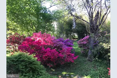 6429 Divine Street, McLean, VA 22101 - Photo 3