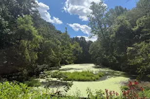 6410 Wyngate Dr, Springfield, VA 22152 - Photo 51